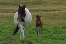 Mother and child Mother and child