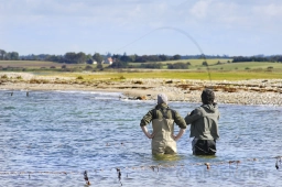 Inspiration Inspiration