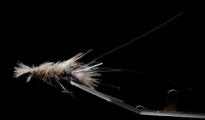 Martin's Mundane Shrimp Martin's Mundane Shrimp