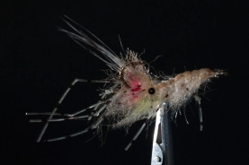 Upside down Upside down