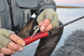 The remains The remains