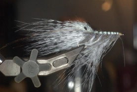 Grizzly monster Grizzly monster