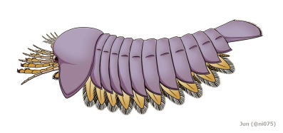 Sanctacaris Sanctacaris