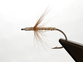 Skinny profile Skinny profile