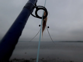 A shrimp fly A shrimp fly