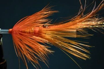 Aft hackle Aft hackle