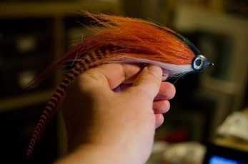 BigBug done BigBug done