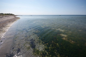 Enticing water Enticing water