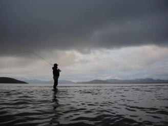 ION Beat II ION Beat II