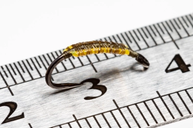 The foundation The foundation