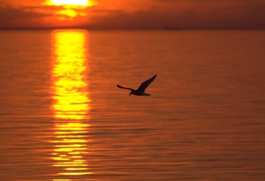 A centerpiece A centerpiece