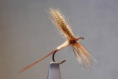 March Brown March Brown