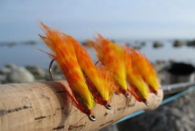 Mango fruits Mango fruits