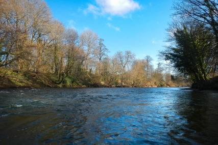 Taff grayling pool Taff grayling pool