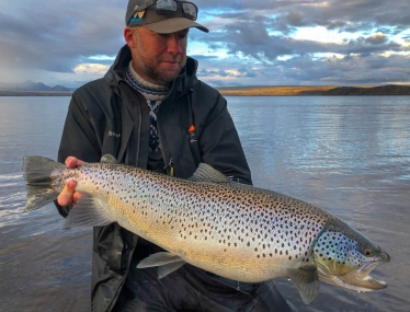 The colors The colors