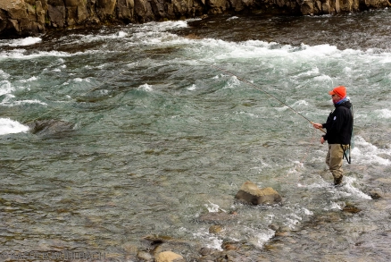 Covering the pool Covering the pool