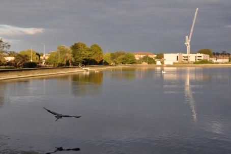 Capital fishing Capital fishing