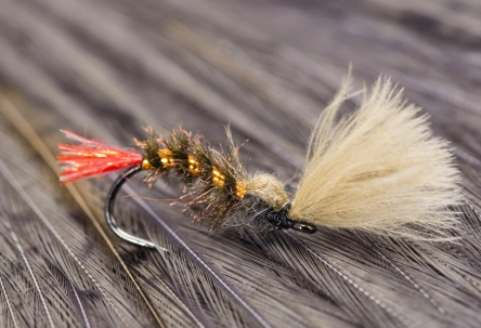 Red Tag CDC emerger Red Tag CDC emerger