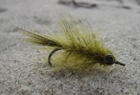 A small Bugger A small Bugger