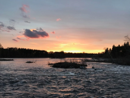 Caddis time! Caddis time!