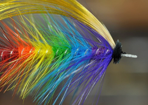 The Rainbow details The Rainbow details