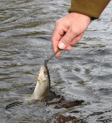 Everyday situation Everyday situation