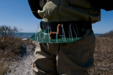 An alternative An alternative