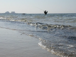 In the waves In the waves