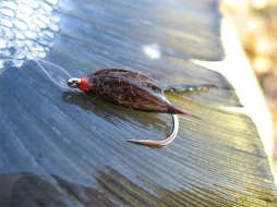 Another one has fallen Another one has fallen