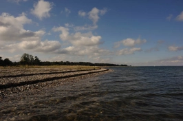 Calm but choppy Calm but choppy