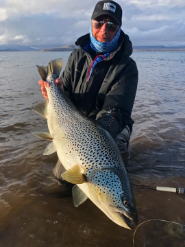 10 kilos plus 10 kilos plus