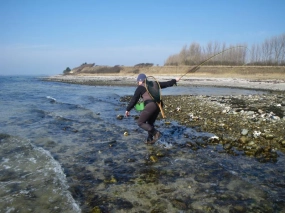 Landing a biggie Landing a biggie