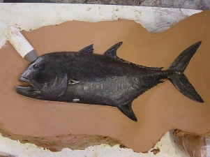 After the cooling, ready to be removed from the mold After the cooling, ready to be removed from the mold