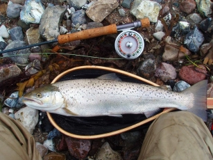 As nice as they come As nice as they come