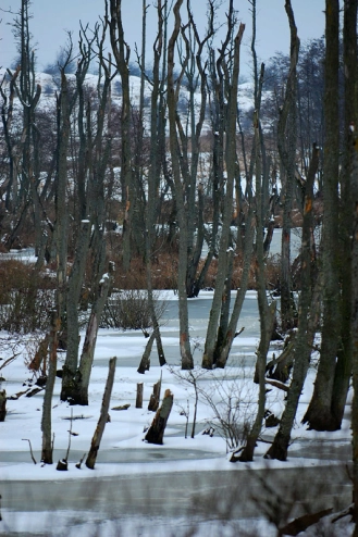 Off season Off season