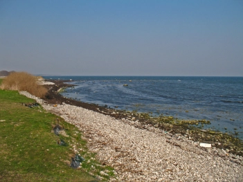 Looks deceit Looks deceit