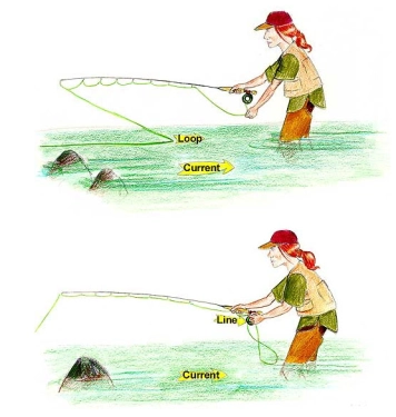 The line loop The line loop