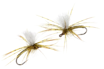 A pair of PPE's A pair of PPE's