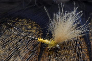 The CDC wing is now upright The CDC wing is now upright