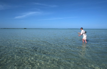 Bonefish too Bonefish too