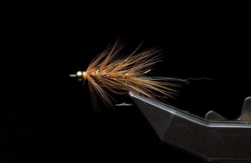 34 - done! 34 - done!