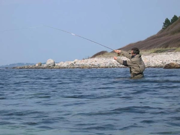 Autumn casting Autumn casting