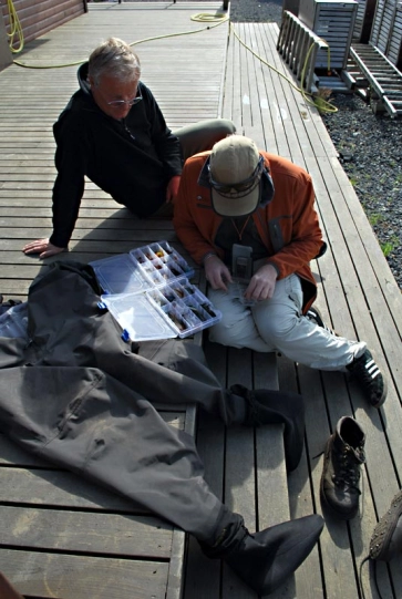 Nils' candy store Nils' candy store