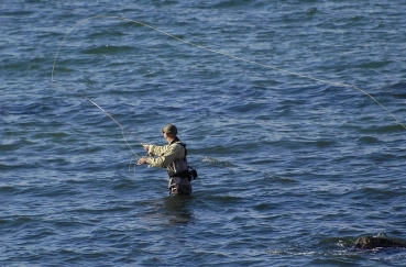 Ripley searching Ripley searching