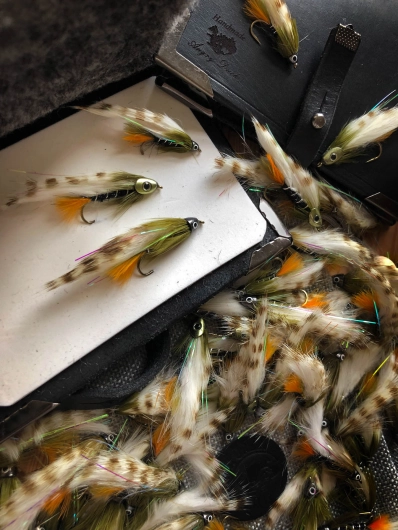 Olive Ghost Olive Ghost