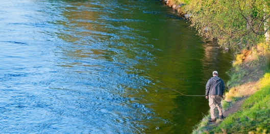 Silent moments Silent moments