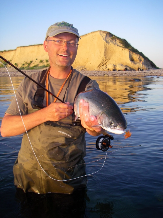 Rainbows and virus - image Rainbows and virus - image