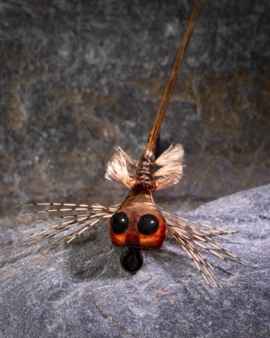 Clinging to a stone Clinging to a stone