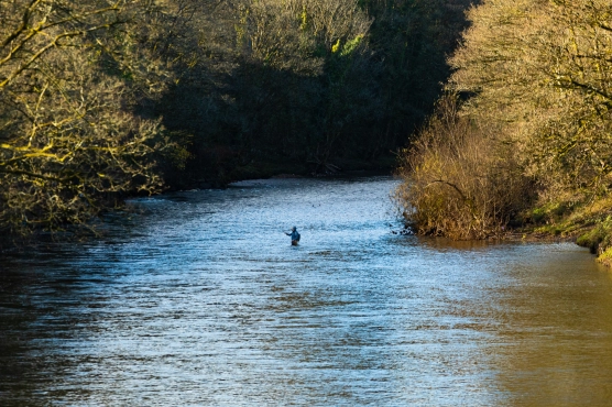 Lower Taff Lower Taff