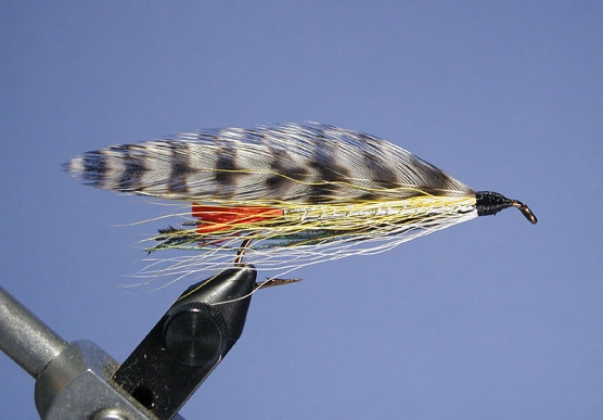 Champ's Special Champ's Special